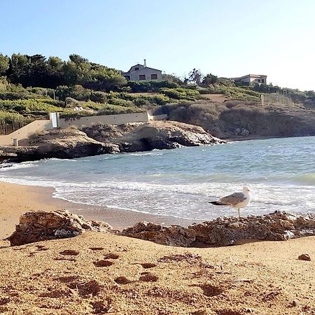 T3 Climatise Avec Jardin, Parking Prive, A 400M De La Plage Et Commerces - Fr-1-316-230 Six-Fours-les-Plages Kültér fotó