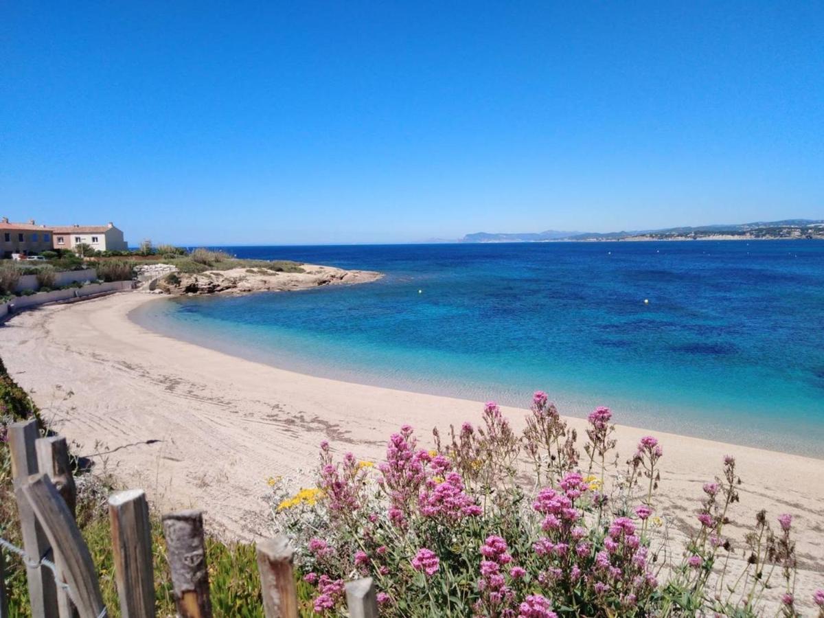 T3 Climatise Avec Jardin, Parking Prive, A 400M De La Plage Et Commerces - Fr-1-316-230 Six-Fours-les-Plages Kültér fotó