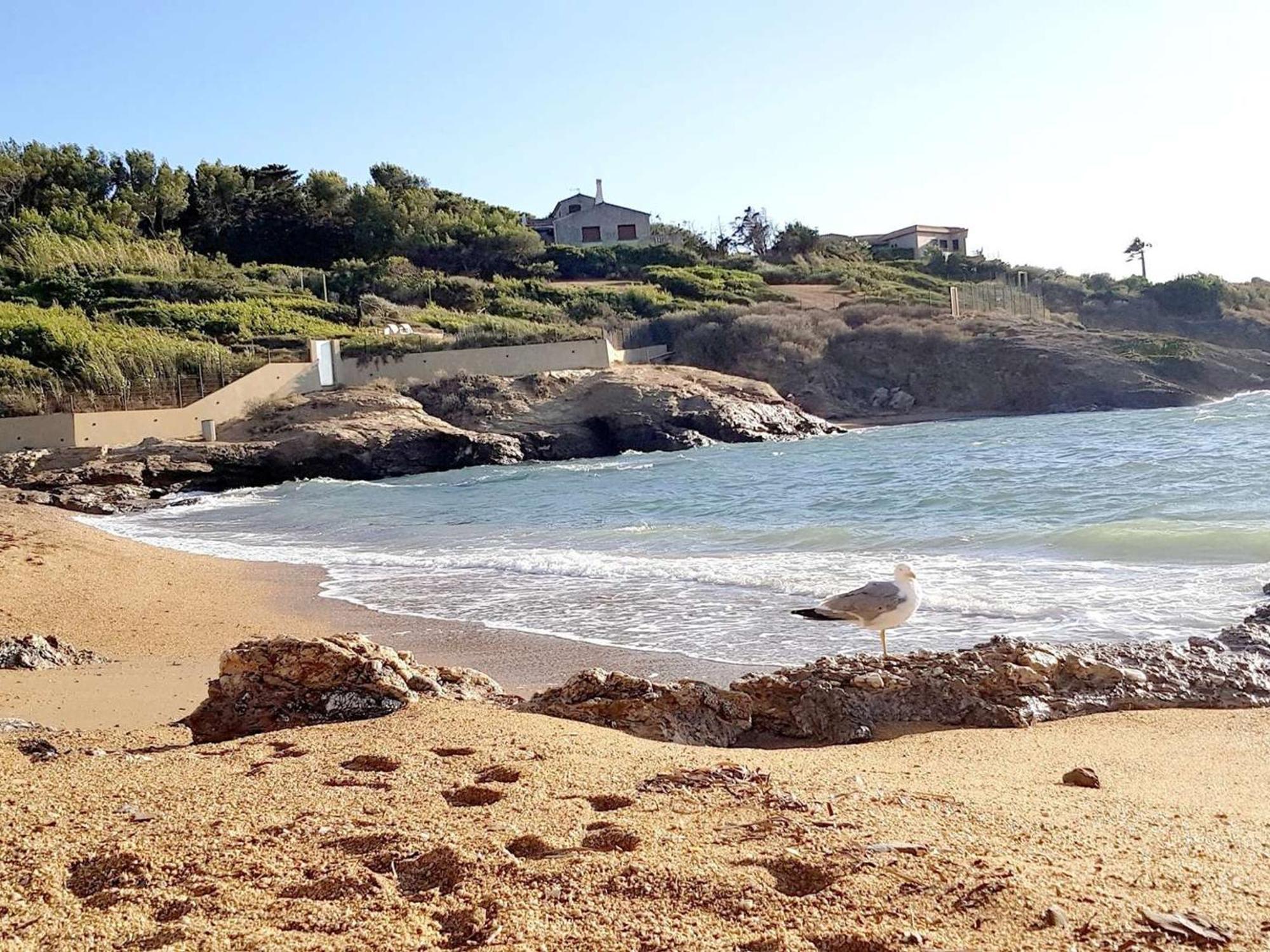 T3 Climatise Avec Jardin, Parking Prive, A 400M De La Plage Et Commerces - Fr-1-316-230 Six-Fours-les-Plages Kültér fotó